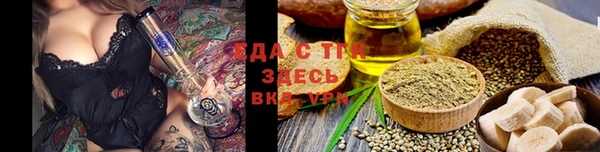 гашиш Богданович