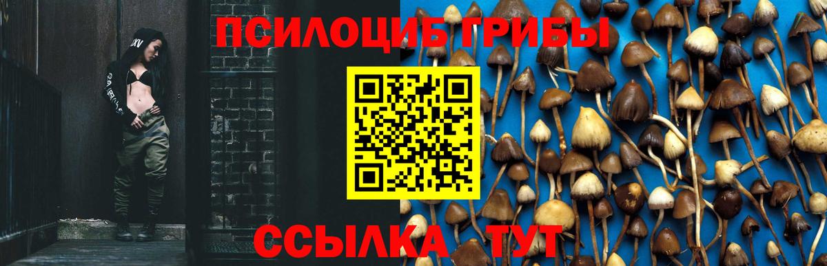 что такое наркотик  Ростов-на-Дону  Псилоцибиновые грибы MAGIC MUSHROOMS 